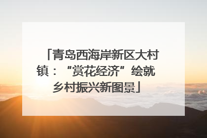 青岛西海岸新区大村镇：“赏花经济”绘就乡村振兴新图景