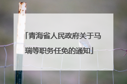 青海省人民政府关于马瑞等职务任免的通知