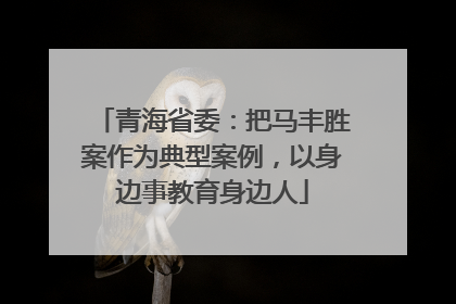 青海省委：把马丰胜案作为典型案例，以身边事教育身边人