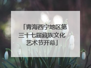 青海西宁地区第三十七届藏族文化艺术节开幕