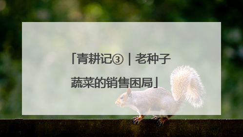 青耕记③｜老种子蔬菜的销售困局