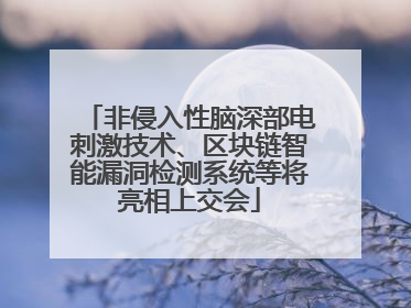 非侵入性脑深部电刺激技术、区块链智能漏洞检测系统等将亮相上交会