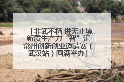 非武不栖 进无止境 新质生产力“智”汇常州创新创业邀请赛（武汉站）圆满举办