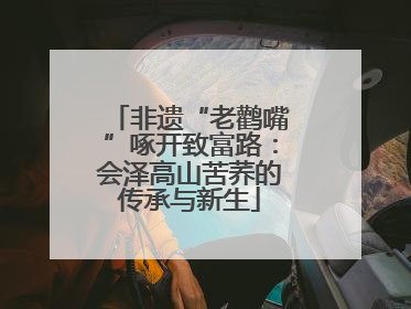 非遗“老鹳嘴”啄开致富路：会泽高山苦荞的传承与新生