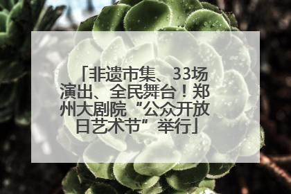 非遗市集、33场演出、全民舞台！郑州大剧院“公众开放日艺术节”举行