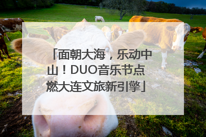 面朝大海，乐动中山！DUO音乐节点燃大连文旅新引擎