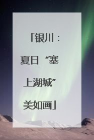 银川：夏日“塞上湖城”美如画