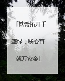 铁臂拓开千垄绿，联心育就万家金