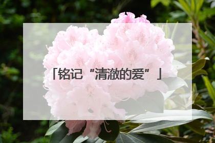 铭记“清澈的爱”