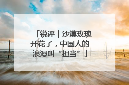 锐评｜沙漠玫瑰开花了，中国人的浪漫叫“担当”