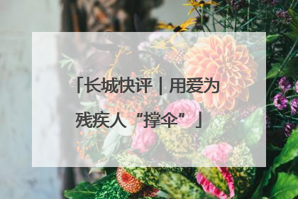 长城快评｜用爱为残疾人“撑伞”