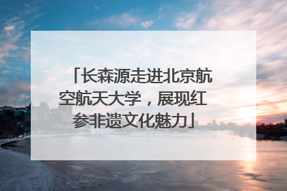 长森源走进北京航空航天大学，展现红参非遗文化魅力