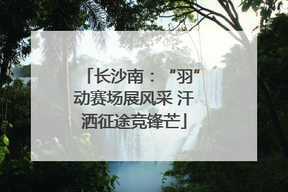 长沙南：“羽”动赛场展风采 汗洒征途竞锋芒