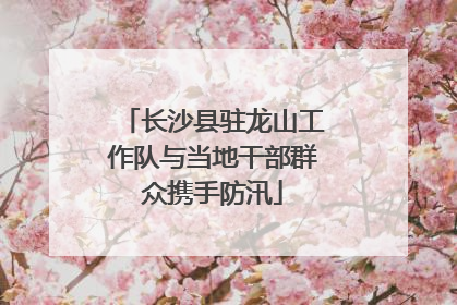 长沙县驻龙山工作队与当地干部群众携手防汛