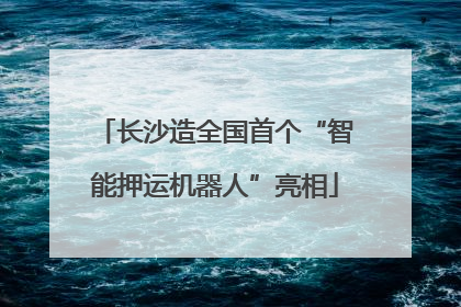 长沙造全国首个“智能押运机器人”亮相