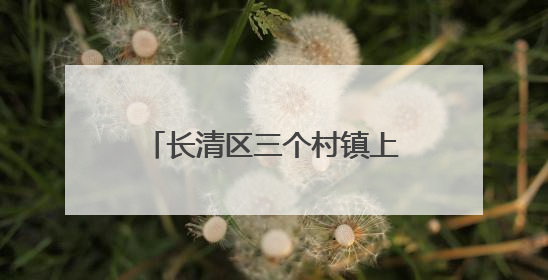 长清区三个村镇上榜全国文明村镇