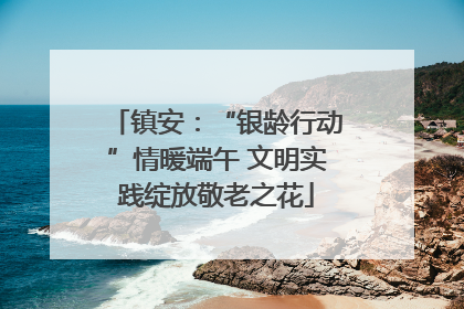 镇安：“银龄行动”情暖端午 文明实践绽放敬老之花