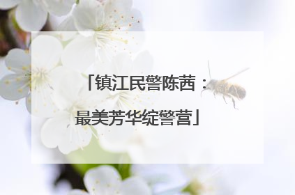 镇江民警陈茜：最美芳华绽警营
