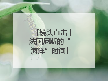镜头直击｜法国尼斯的“海洋”时间