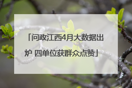 问政江西4月大数据出炉 四单位获群众点赞