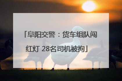 阜阳交警：货车组队闯红灯 28名司机被拘