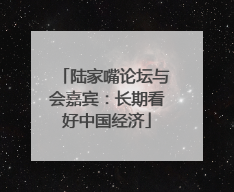 陆家嘴论坛与会嘉宾：长期看好中国经济