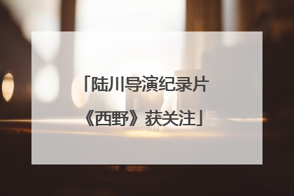 陆川导演纪录片《西野》获关注