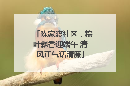 陈家渡社区：粽叶飘香迎端午 清风正气话清廉