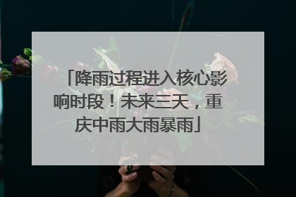 降雨过程进入核心影响时段！未来三天，重庆中雨大雨暴雨