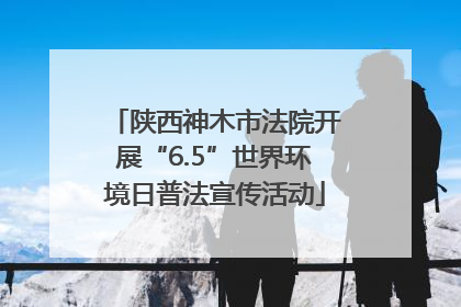 陕西神木市法院开展“6.5”世界环境日普法宣传活动