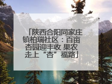 陕西合阳同家庄镇柏瑞社区：百亩杏园迎丰收 果农走上“杏”福路