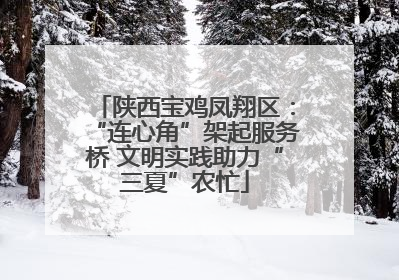 陕西宝鸡凤翔区：“连心角”架起服务桥 文明实践助力“三夏”农忙