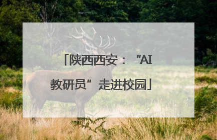 陕西西安：“AI教研员”走进校园