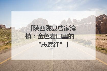 陕西陇县曹家湾镇：金色麦田里的“志愿红”