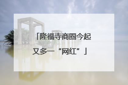 隆福寺商圈今起又多一“网红”