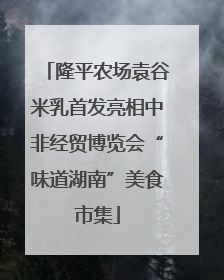 隆平农场袁谷米乳首发亮相中非经贸博览会“味道湖南”美食市集