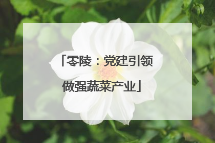 零陵：党建引领 做强蔬菜产业