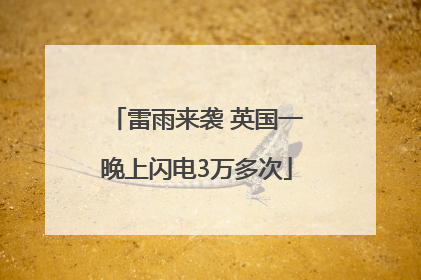 雷雨来袭 英国一晚上闪电3万多次