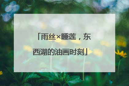 雨丝×睡莲，东西湖的油画时刻