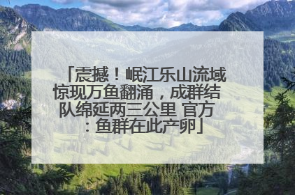 震撼！岷江乐山流域惊现万鱼翻涌，成群结队绵延两三公里 官方：鱼群在此产卵