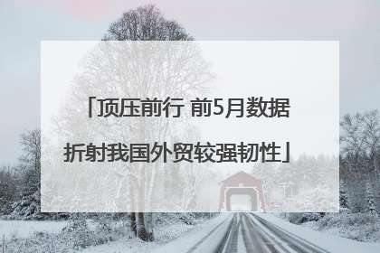 顶压前行 前5月数据折射我国外贸较强韧性