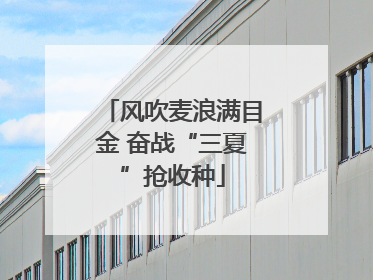风吹麦浪满目金 奋战“三夏”抢收种
