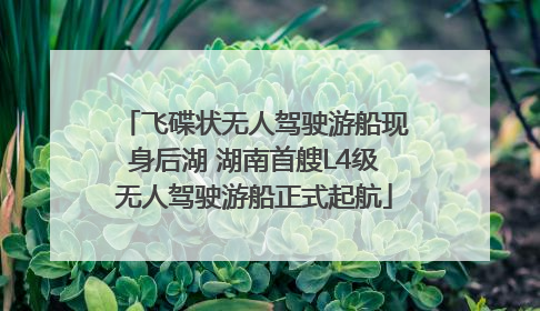 飞碟状无人驾驶游船现身后湖 湖南首艘L4级无人驾驶游船正式起航