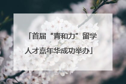 首届“青和力”留学人才嘉年华成功举办