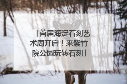 首届海淀石刻艺术周开启！来紫竹院公园玩转石刻