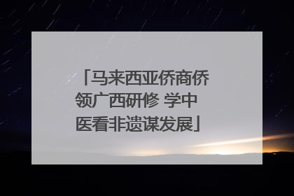 马来西亚侨商侨领广西研修 学中医看非遗谋发展