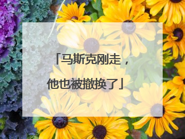 马斯克刚走，他也被撤换了