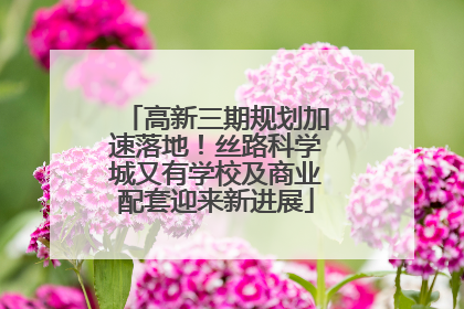 高新三期规划加速落地！丝路科学城又有学校及商业配套迎来新进展