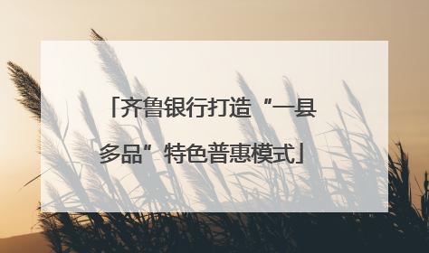 齐鲁银行打造“一县多品”特色普惠模式