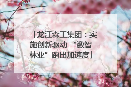 龙江森工集团：实施创新驱动 “数智林业”跑出加速度
